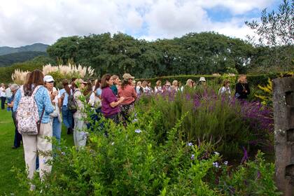 Visita al jardín de Verónica Figueroa en Chicoana