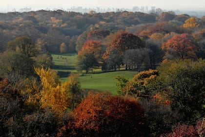Vista abierta de Prospect Park en Brooklyn