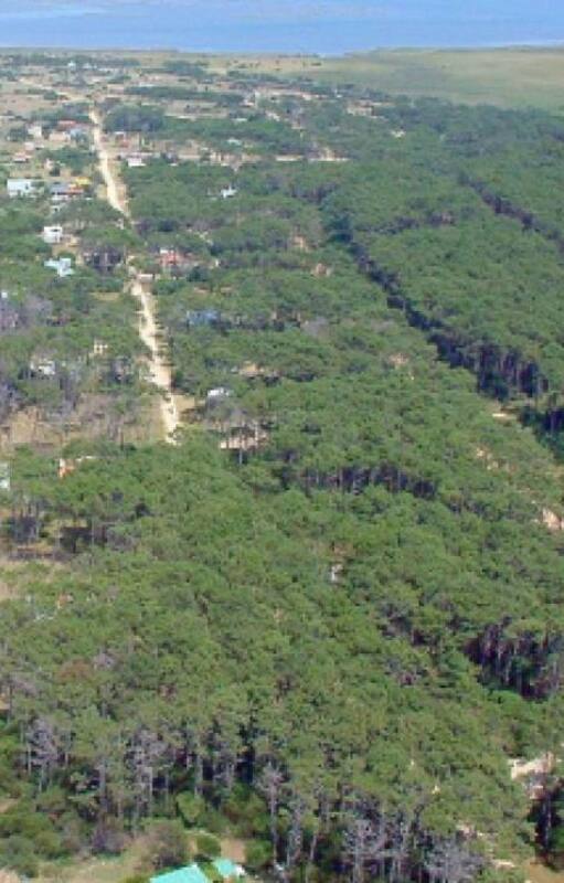 Vista aérea de La Juanita, en José Ignacio