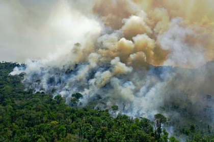 Vista aérea de un área en llamas de la reserva de la selva amazónica, al sur de Novo Progresso en el estado de Pará, el 16 de agosto de 2020