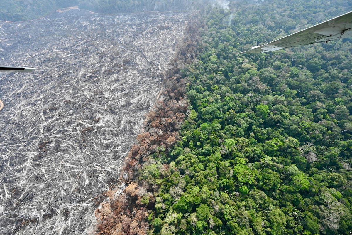 Vista aérea de un sector de selva amazónica deforestada por fuego ilegal en el Amazonas