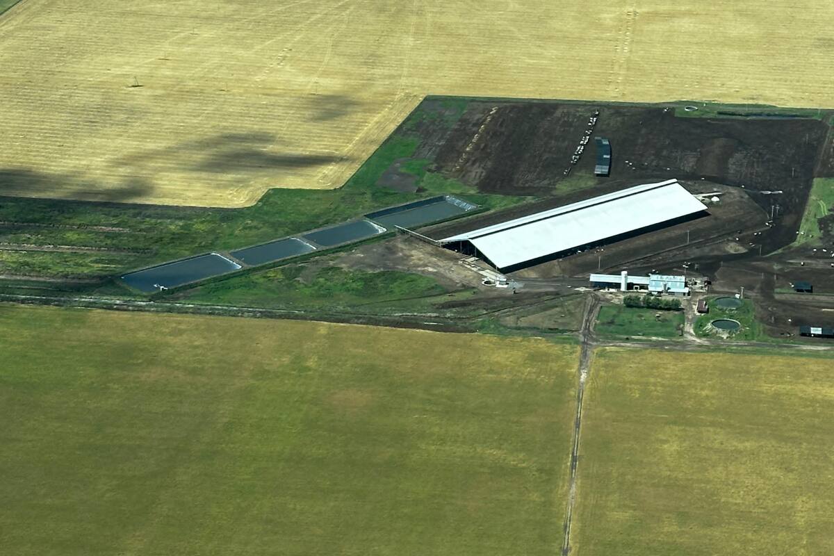 Vista aérea del galpón que tiene los animales de tambo confinados