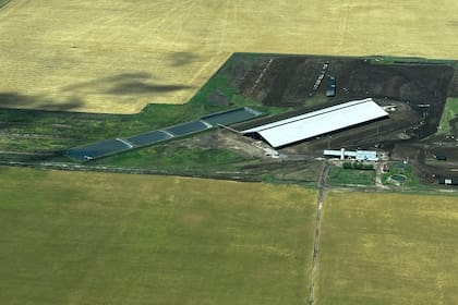 Vista aérea del galpón que tiene los animales de tambo confinados