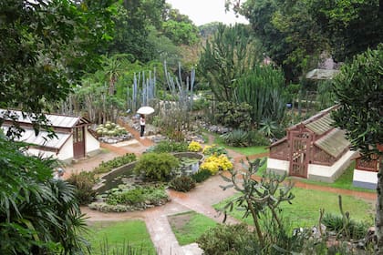 Vista aérea del Jardín Botánico de Río de Janeiro donde se ven invernáculos, colección de cactus y un estanque de vegetación tropical