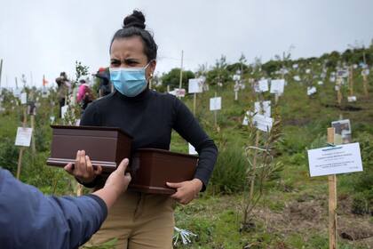 Vista aérea que muestra a familiares de víctimas del Covid-19 esparciendo sus cenizas en huecos donde plantan árboles durante un homenaje a sus seres queridos y como parte del programa Cenizas Fuente de Vida de la ONG ambiental Colombia Life Reserve en la reserva natural de Páramo de Guerrero en el municipio de Cogua, cerca de Bogotá el 21 de junio de 2021; Colombia registró más de 100.000 muertes por Covid-19. (Foto de Raúl ARBOLEDA / AFP)