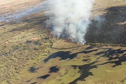 Vista área de la zona afectada por la quema de pastizales en Entre Ríos