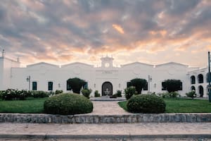 Un Chardonnay nacido a 2000 metros que conquista a la crítica internacional