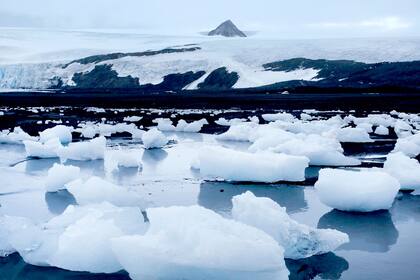 Vista de la costa de la Caleta Poter, con el Glaciar Furcade de fondo, hacia la base Carlini, en la Antartida