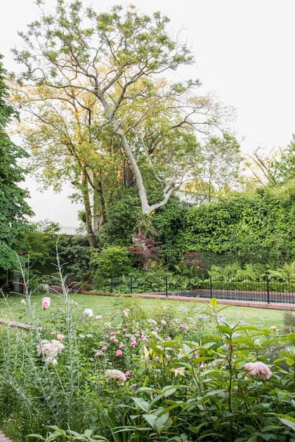 Vista de la nueva pileta que permitió ganar espacio de uso en el jardín
