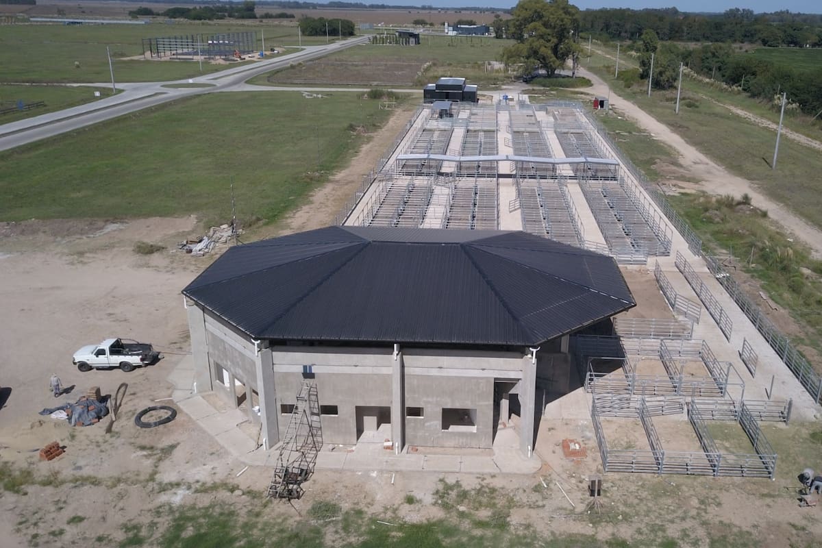 Vista de la obra del Centro de Remates y Exposiciones Angus