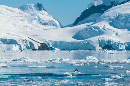 Vista de la Península Antártica