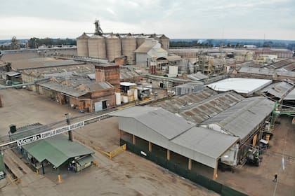 Parte del complejo industrial que la cerealera posee en Avellaneda, Santa Fe