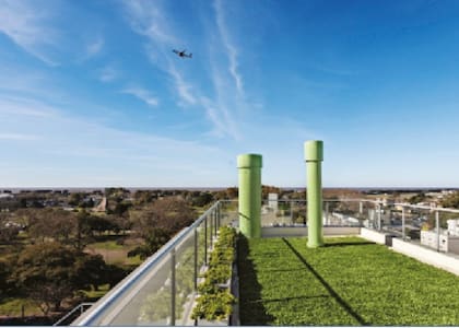 Vista de la terraza verde desde el SUM del edificio.