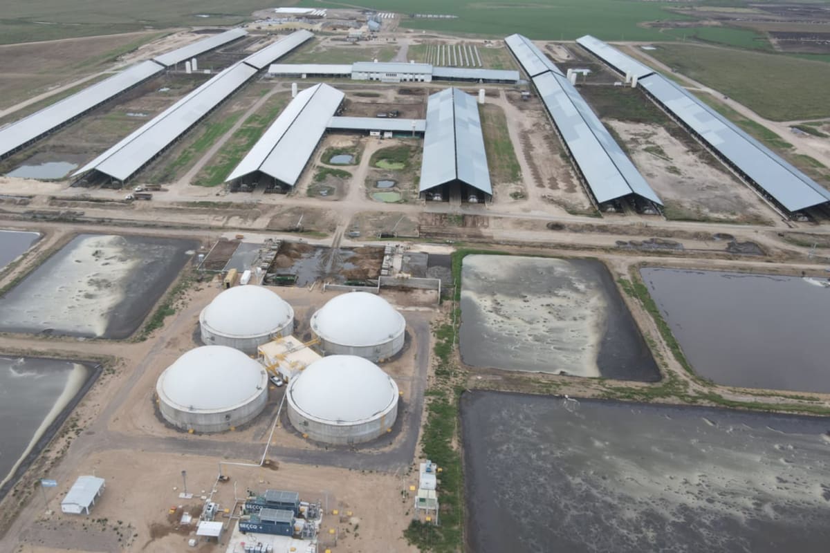 Vista de las instalaciones de Adecoagro