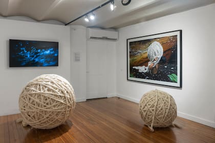 Vista de sala con obra de Teresa Pereda. Cita con la selva (2008)