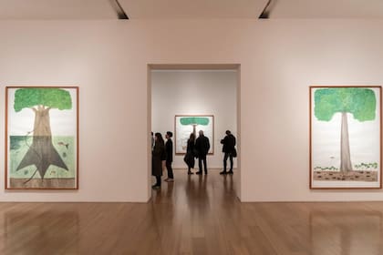 Vista de sala de la muestra "Abel Rodríguez: el árbol de la vida y la abundancia" en Malba