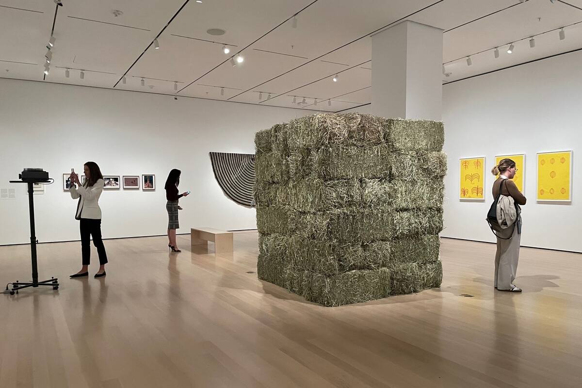 Vista de sala de la muestra, con una instalación de Cildo Meireles en el centro