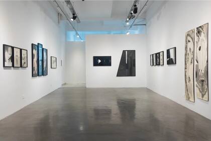 Vista de sala de la muestra Nostalgia de un bosque, de Andrés De Rose, en la galería Gachi Prieto