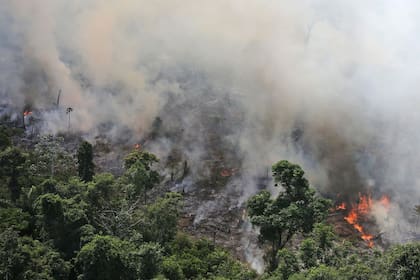Vista de un incendio que afectó el Amazonas en septiembre de 2013, los incendios son cada vez más frecuentes