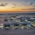 Frenan en el aeropuerto de Houston un hongo que amenaza eucaliptos