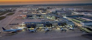 Frenan en el aeropuerto de Houston un hongo que amenaza eucaliptos