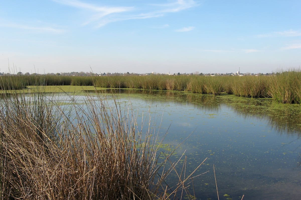Vista del espejo principal del humedal de la reserva Santa Catalina