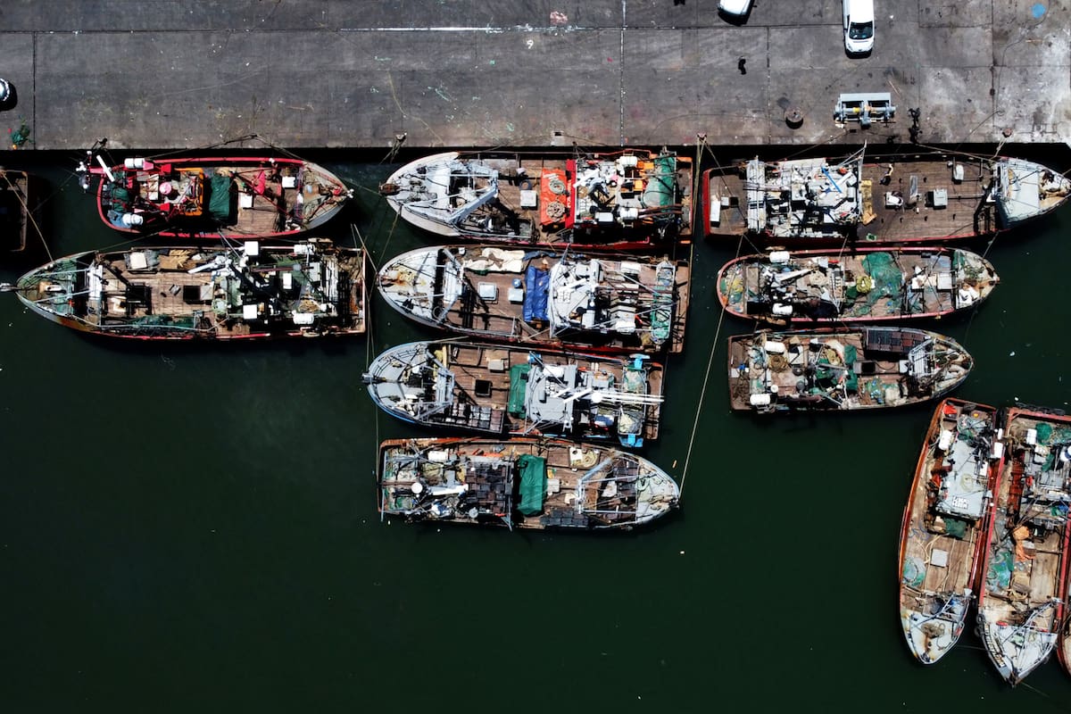 Vista del Puerto de Mar del Plata