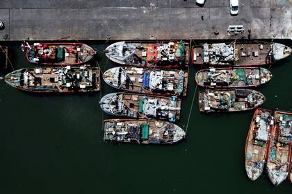 Vista del Puerto de Mar del Plata