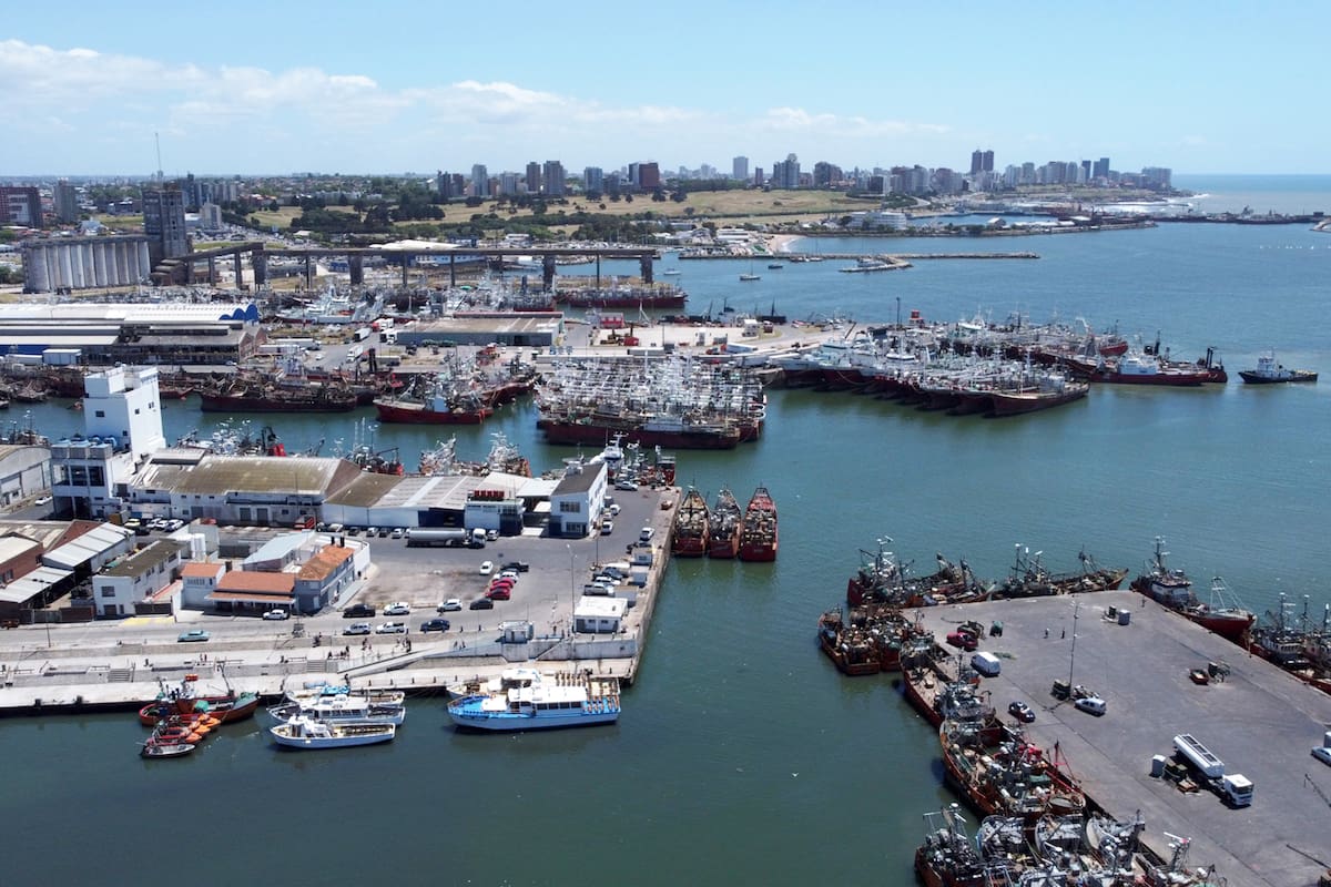 Vista del puerto de Mar del Plata