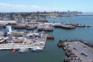 Vista del puerto de Mar del Plata