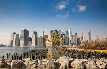 Vista desde el Bridge Park.