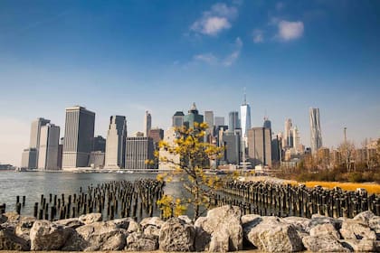 Vista desde el Bridge Park.
