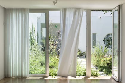 Vista desde la casa, con un jardín-fuelle entre ella y el cuarto de huéspedes que da a la calle.