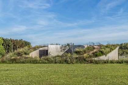 Vista general del ingreso a la casa y del techo verde, con un acceso ascendente de binder dolomita. Las comunidades vegetales se pensaron para tener en todo momento aporte de néctar, polen y refugio para aves y polinizadores.