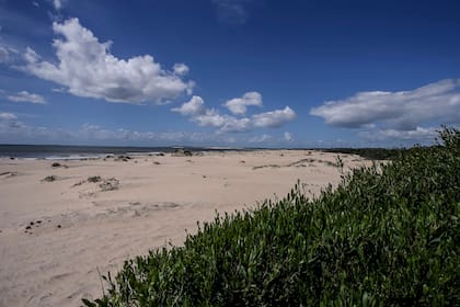 Vista hacia el mar desde los medanos donde se encontro el cadaver de la Lola Chomnalez, Aguas Dulces, Uruguay, el 2 de enero de 2015