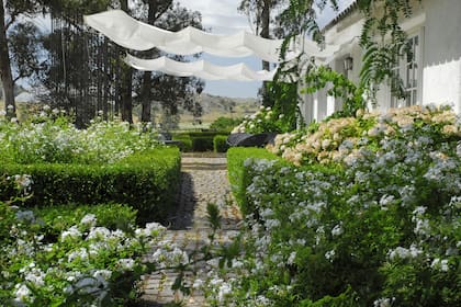 Vista hacia las sierras desde las terrazas rodeadas por estructuras de buxus, plumbagos y hortensias.