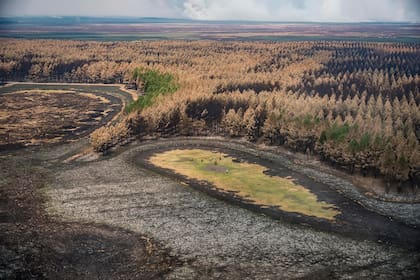 Vistas aéreas del Parque Nacional Esteros del Iberá, en Corrientes, donde se observan los daños causados por el fuego y por muchos meses de sequía.