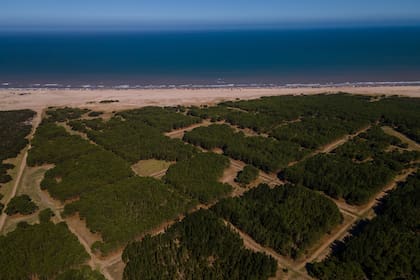 Vistas del proyecto urbanístico Montecarlo