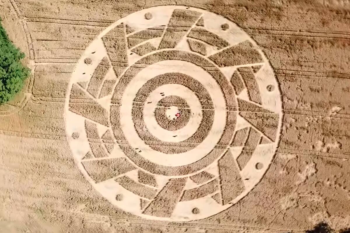 Visto desde un drone, el dibujo sobre los pastizales presenta formas perfectas