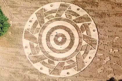 Visto desde un drone, el dibujo sobre los pastizales presenta formas perfectas