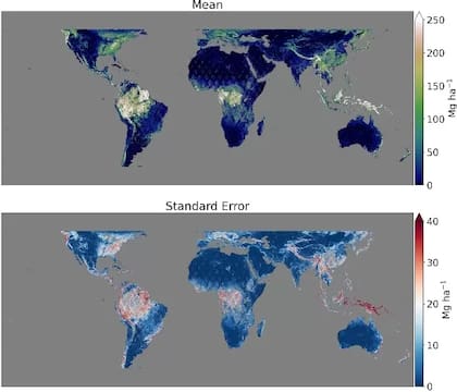 Visualización de datos de GEDI. Los colores representan las toneladas de biomasa aérea por hectárea en el mapa superior. El mapa inferior muestra el error de predicción del modelo GEDI de biomasa