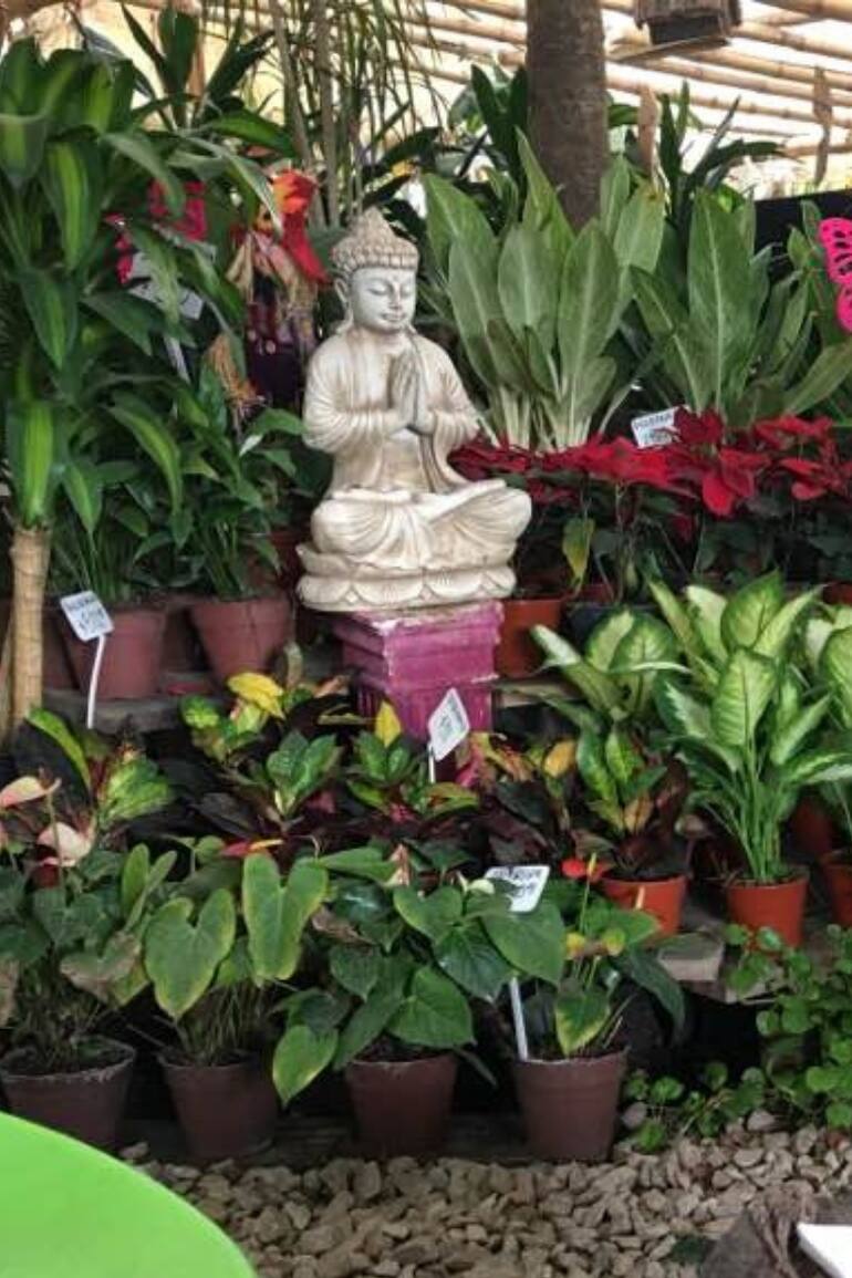 Vivero Doña Flor