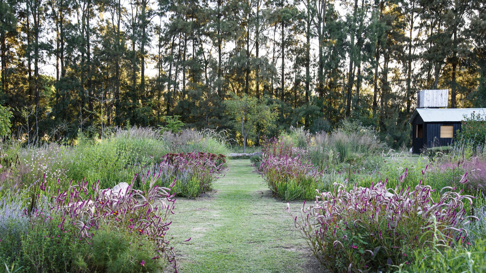 Vivero La Teófila, de Guillermo Benítez Cruz. Queda en Capilla del Señor, provincia de Buenos Aires.