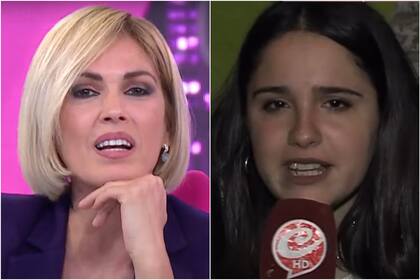 Viviana Canosa criticó a Ofelia Fernández (Foto: Captura de video)