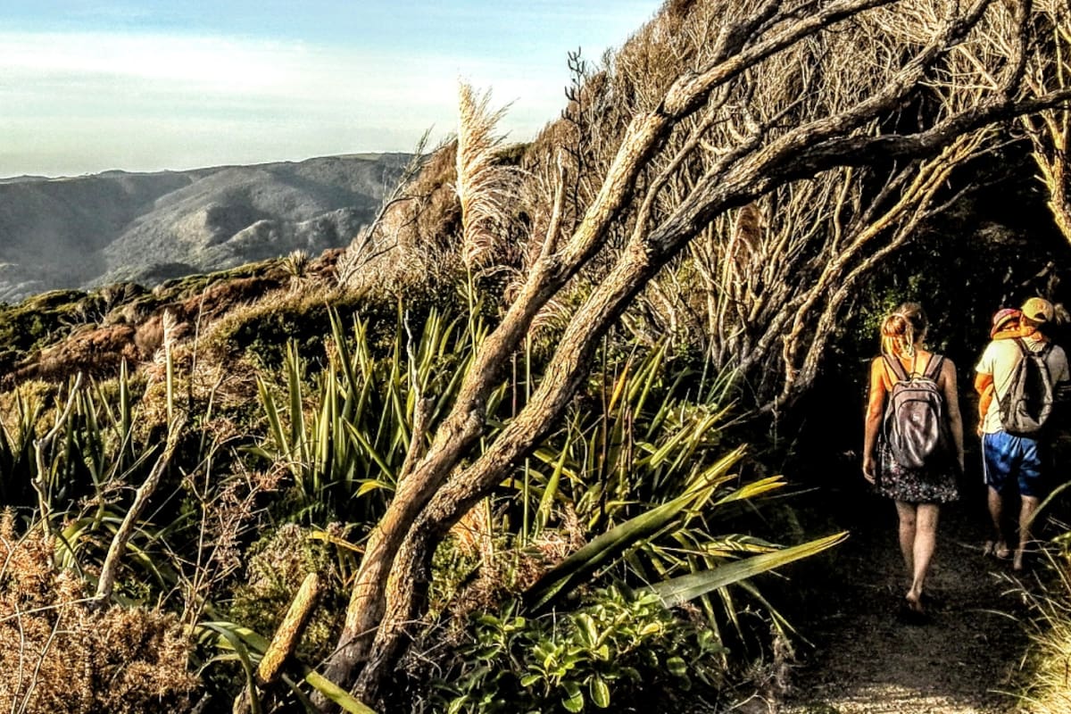 Vivir en Nueva Zelanda: " Un puesto jamás dependerá de tu color de piel o tu país de origen, todos tienen las mismas oportunidades".