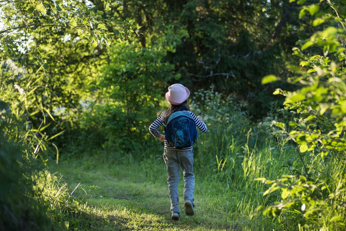 ¿Vivir en el bosque? ¡Qué locura!