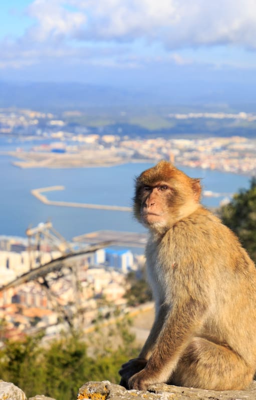 Vivir en Gibraltar: "Argentina es hermoso, tal vez uno se va para darse cuenta".