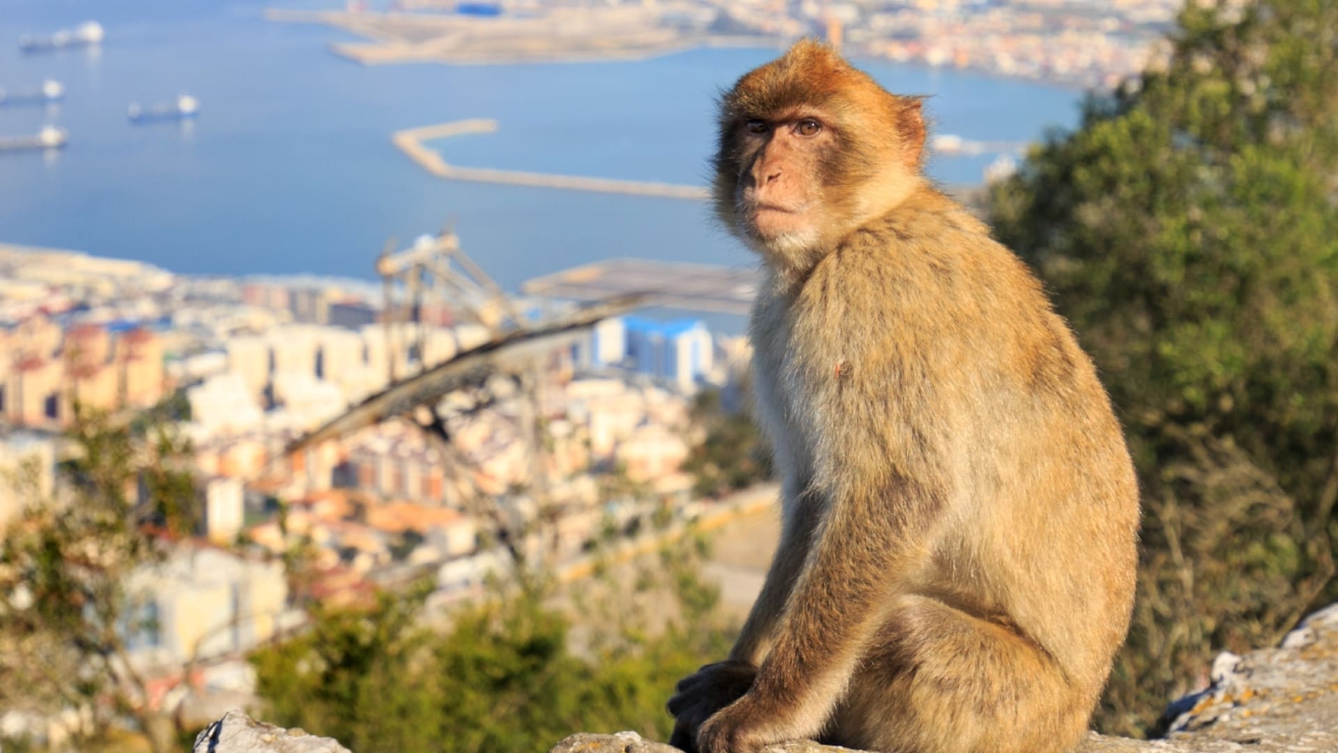 Vivir en Gibraltar: "Argentina es hermoso, tal vez uno se va para darse cuenta".