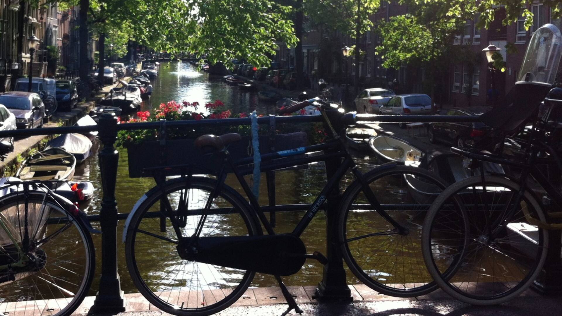 Vivir en Holanda: "Aprendí sobre tener menos prejuicios, ser libre y respetar las decisiones de vida de otros".