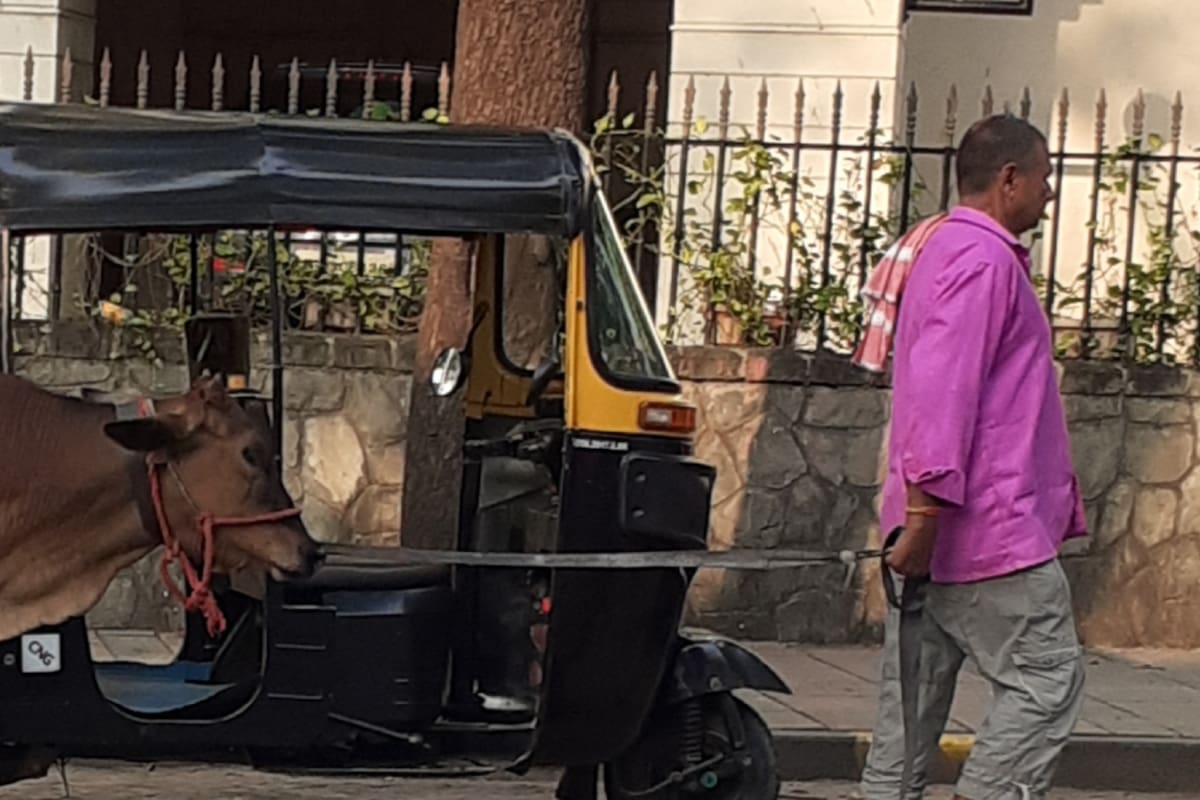 Vivir en la Bombay: “La India es mucho más que meditar y hacer yoga".